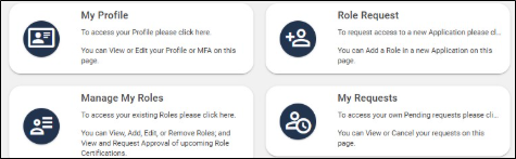 Página de inicio de IDM