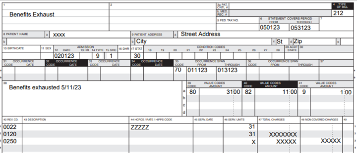 Image of SNF claim with HIPPS ZZZZZ