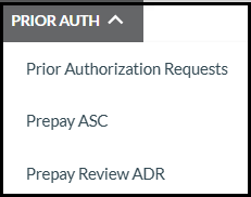 Menú de Autorización previa