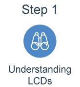 Understanding LCDs